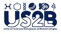 logo us2b